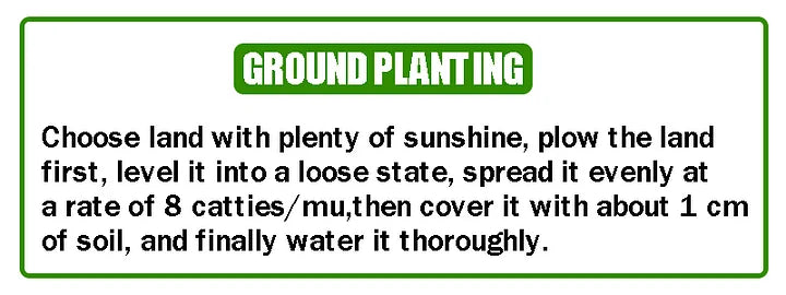 Get 15% off orders over $50 Get it 🔥Four Seasons Flower Seeds – Over 60 Mixed Perennial Varieties🌸 Buy 2 get 10% off,Buy 4 get 20% off,Buy 6 get 30% off