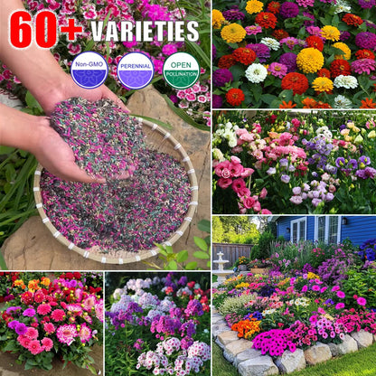 Get 15% off orders over $50 Get it 🔥Four Seasons Flower Seeds – Over 60 Mixed Perennial Varieties🌸 Buy 2 get 10% off,Buy 4 get 20% off,Buy 6 get 30% off