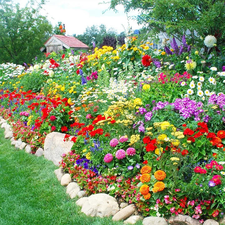 Get 15% off orders over $50 Get it 🔥Four Seasons Flower Seeds – Over 60 Mixed Perennial Varieties🌸 Buy 2 get 10% off,Buy 4 get 20% off,Buy 6 get 30% off