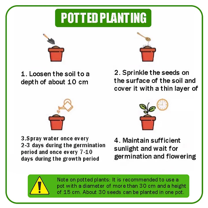 Get 15% off orders over $50 Get it 🔥Four Seasons Flower Seeds – Over 60 Mixed Perennial Varieties🌸 Buy 2 get 10% off,Buy 4 get 20% off,Buy 6 get 30% off