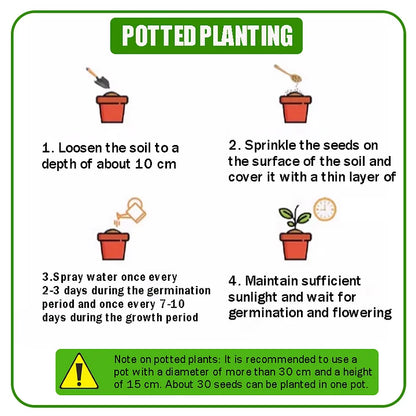 Get 15% off orders over $50 Get it 🔥Four Seasons Flower Seeds – Over 60 Mixed Perennial Varieties🌸 Buy 2 get 10% off,Buy 4 get 20% off,Buy 6 get 30% off