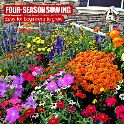 Get 15% off orders over $50 Get it 🔥Four Seasons Flower Seeds – Over 60 Mixed Perennial Varieties🌸 Buy 2 get 10% off,Buy 4 get 20% off,Buy 6 get 30% off