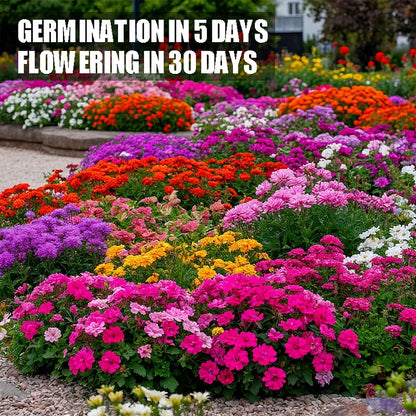 Get 15% off orders over $50 Get it 🔥Four Seasons Flower Seeds – Over 60 Mixed Perennial Varieties🌸 Buy 2 get 10% off,Buy 4 get 20% off,Buy 6 get 30% off